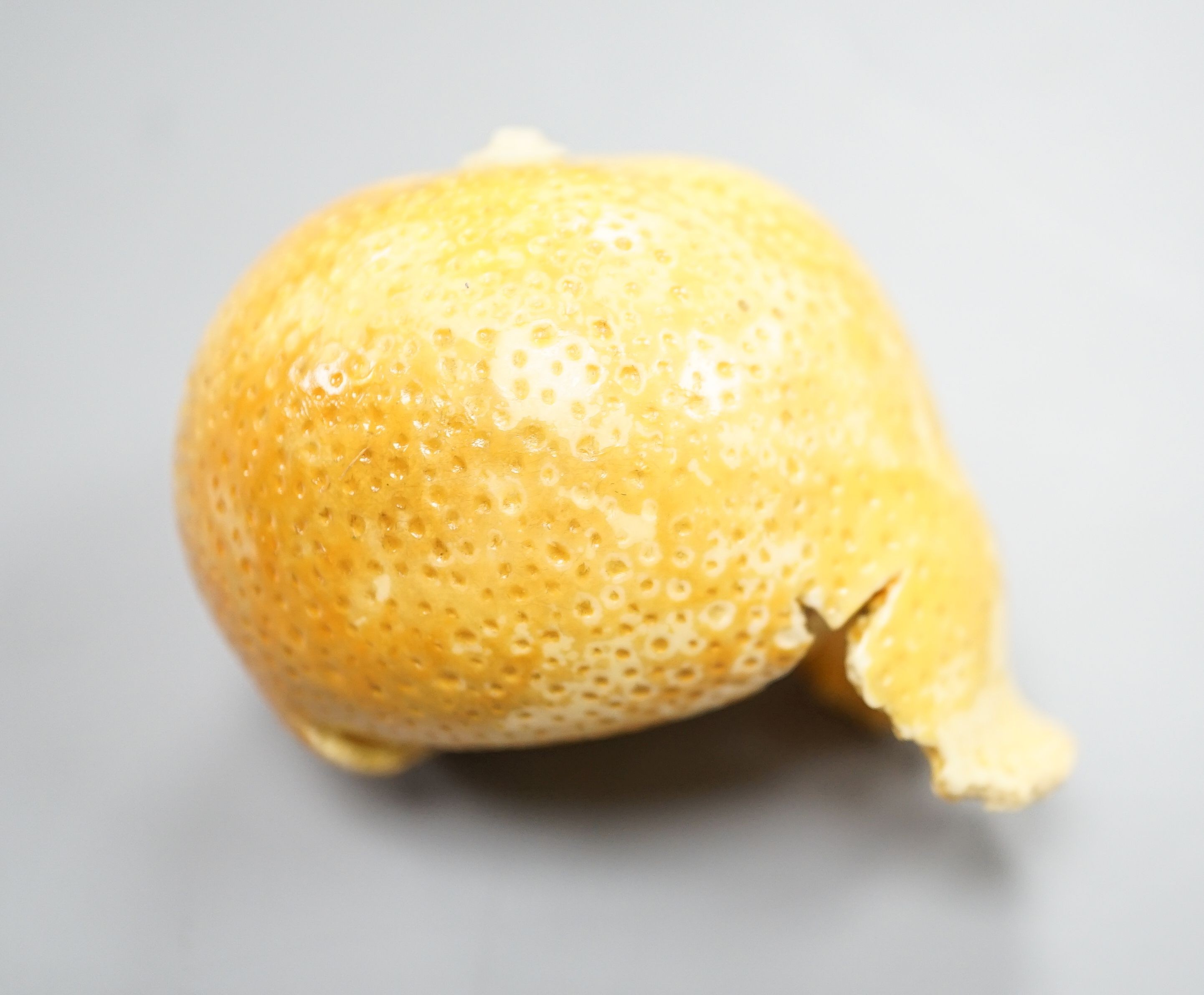 A Japanese carved ivory model of a partially peeled tangerine c.1900, 5cm